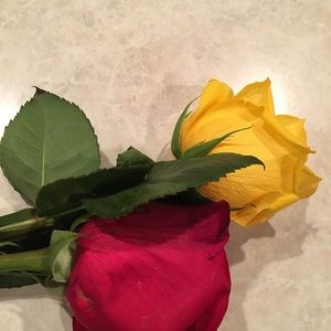 Meet your Posher, Tracy